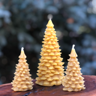 100% Pure Beeswax Pine Tree Candles