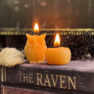 Owl Beeswax Candle