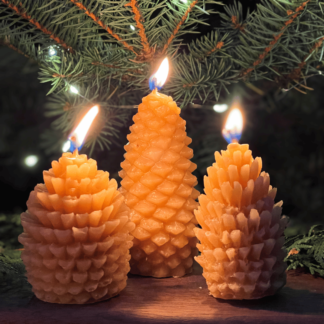 Pine Cone Beeswax Candles