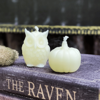 White Beeswax Owl Candle