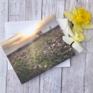 Flight of The Forager Honey Bee Greeting Card