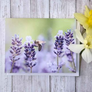 Lavender Blossom & Honey Bee Greeting Card