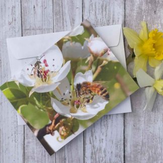 Honey Bee Pollinating a Pear Tree Greeting Card