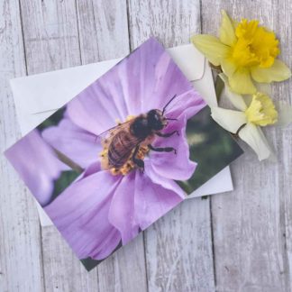 Pink Cosmo Honey Bee Greeting Card