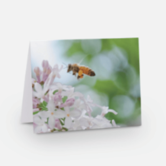Lilac Blossom Honey Bee Greeting Card - front
