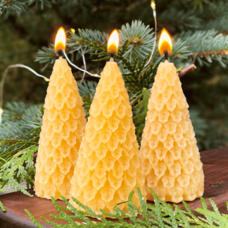 Holly Tree Beeswax Candle