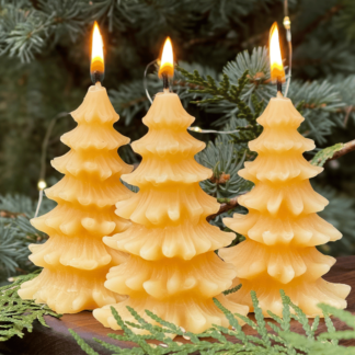 Spruce Tree Beeswax Candle