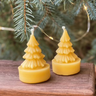 Spruce Tree Tealight Beeswax Candle