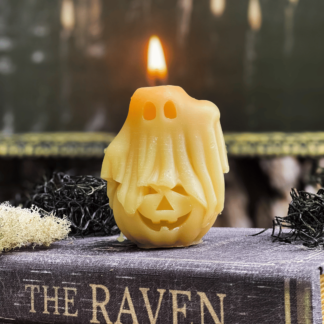 Nerdy Ghost on Pumpkin Beeswax Candle