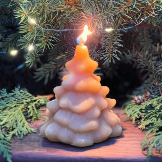 Chubby Pine Tree Beeswax Candle